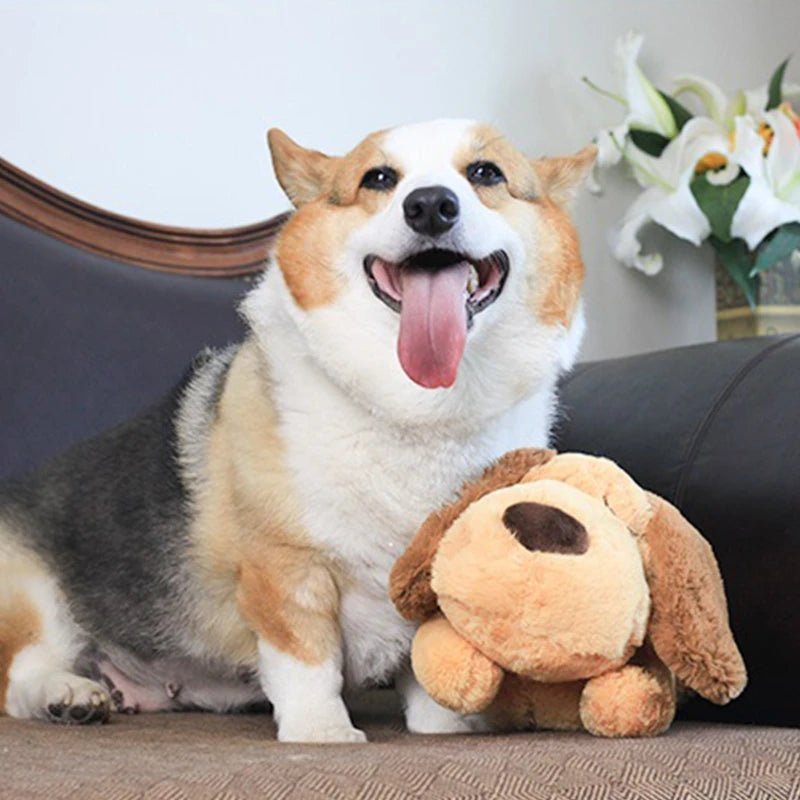 Adorable Heartbeat Puppy Training Toy for Dogs - silverfoxgoods