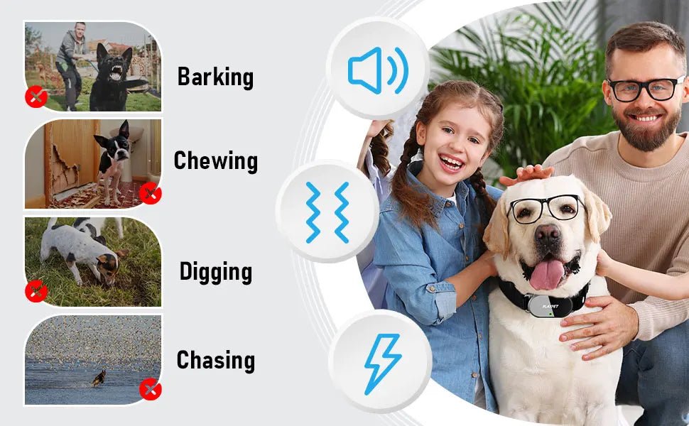 Dog Shock Collar with Remote, Dog Training Electric Collar, Waterproof Rechargeable,Dog Shock Collar with LED Light, Beep, Vibra - silverfoxgoods