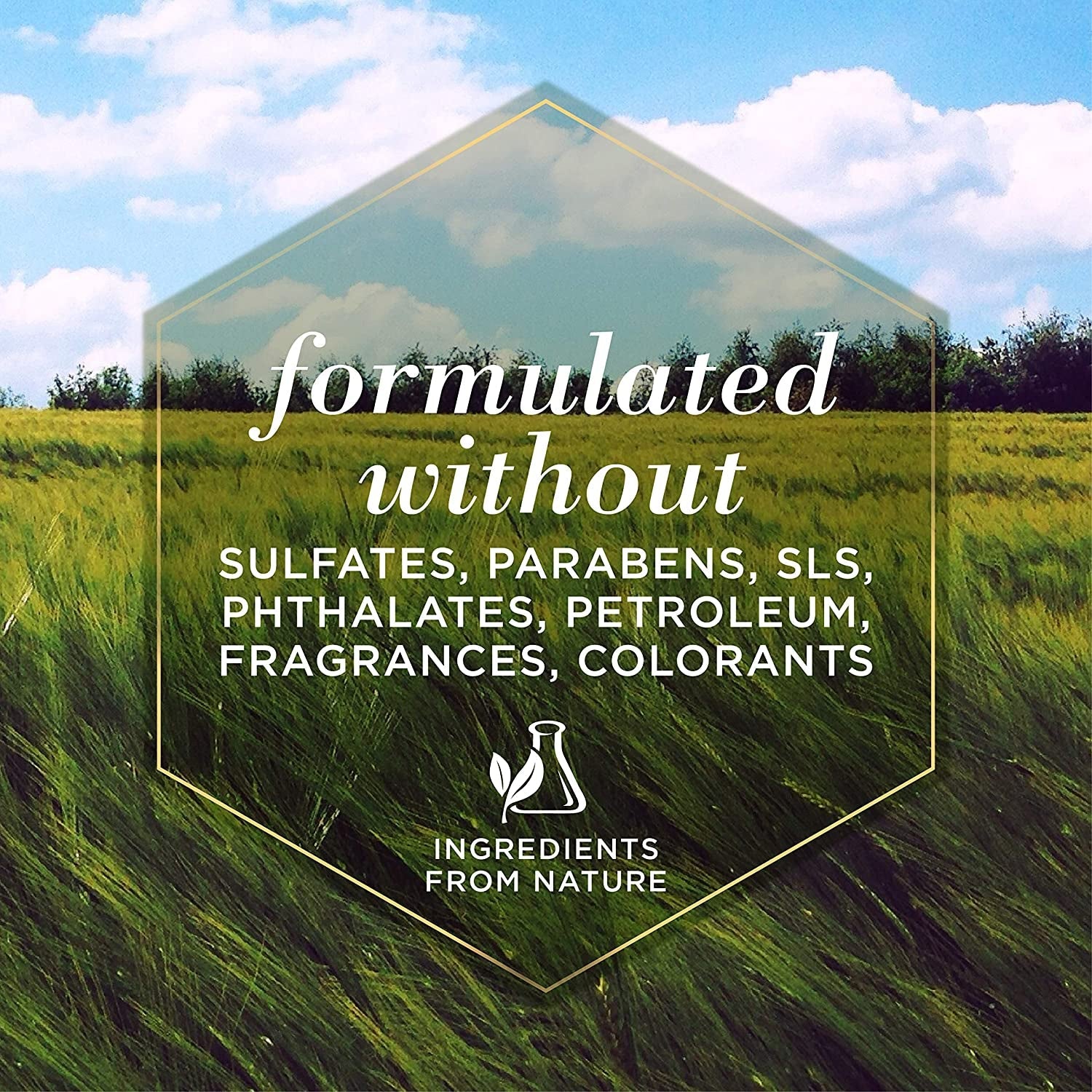 for Pets Naturally Derived Skin Soothing Shampoo with Honey - Dog Shampoo for All Dogs and Puppies - Safe for Dogs with Dry and Sensitive Skin - Made in USA, 16 Ounces - silverfoxgoods