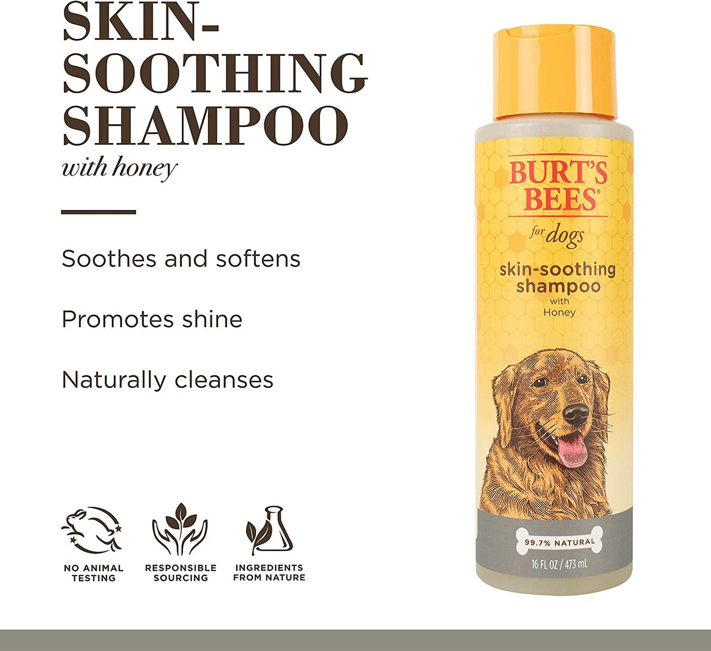 for Pets Naturally Derived Skin Soothing Shampoo with Honey - Dog Shampoo for All Dogs and Puppies - Safe for Dogs with Dry and Sensitive Skin - Made in USA, 16 Ounces - silverfoxgoods