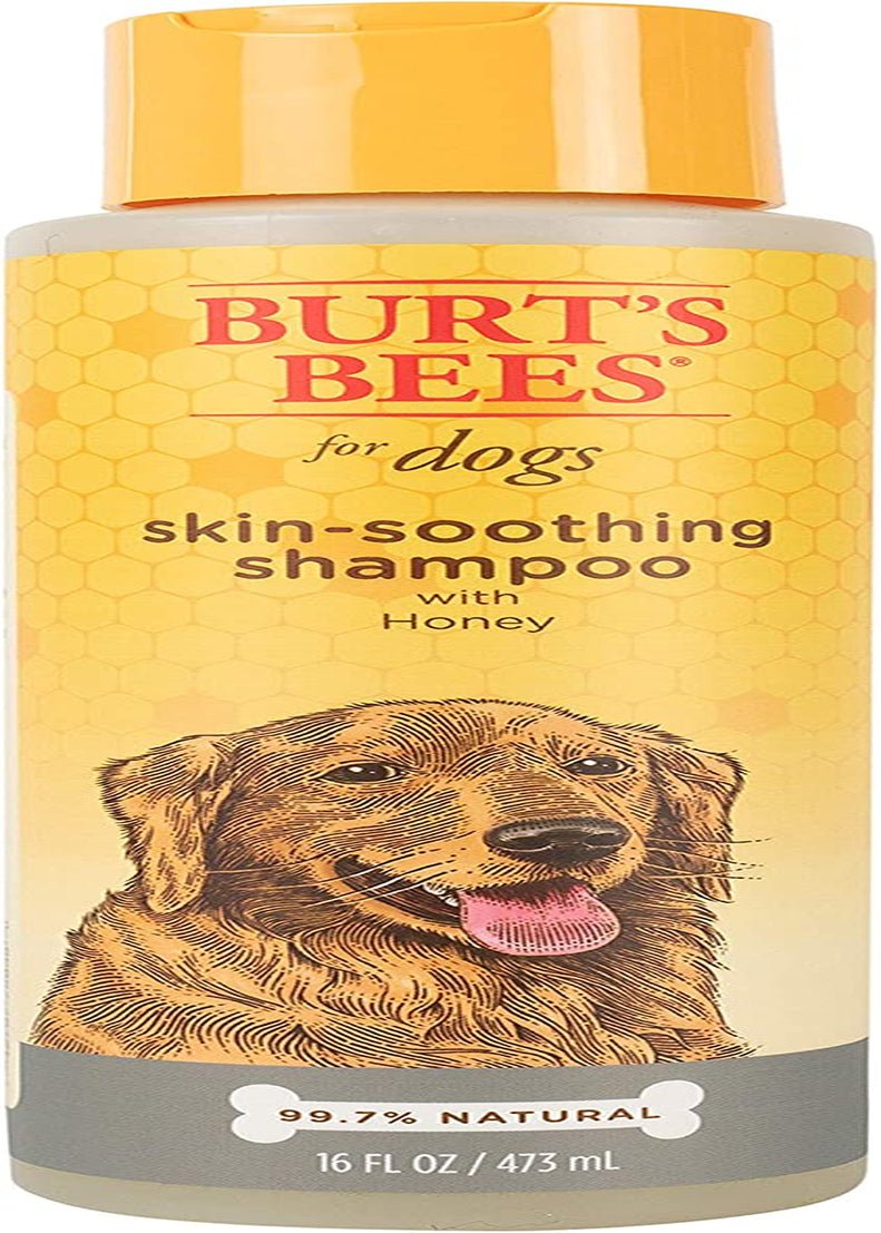 for Pets Naturally Derived Skin Soothing Shampoo with Honey - Dog Shampoo for All Dogs and Puppies - Safe for Dogs with Dry and Sensitive Skin - Made in USA, 16 Ounces - silverfoxgoods