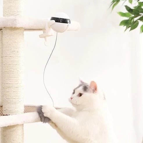 Pet Cat Toy Electronic Motion Cat Toy Interactive - silverfoxgoods